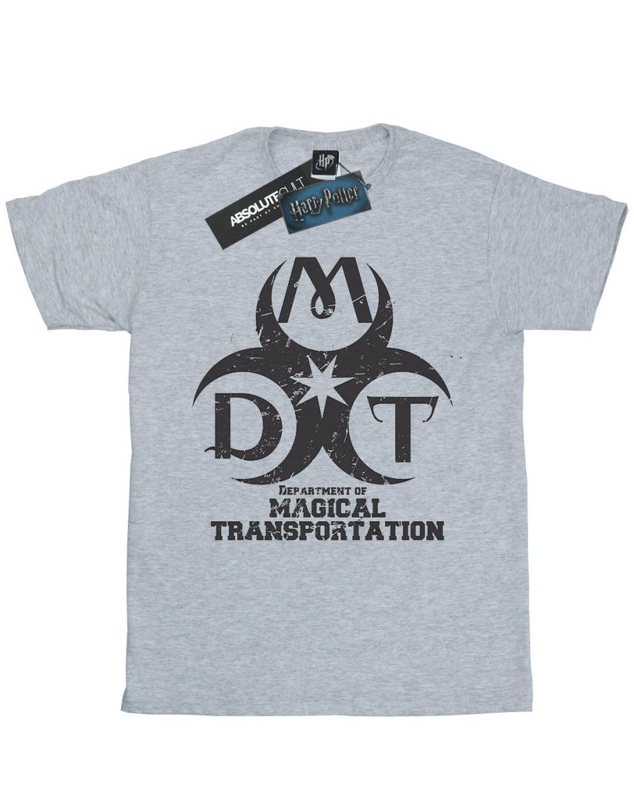 Harry Potter Boys Department Of Magical Transportation Logo T-Shirt - Sports Grey