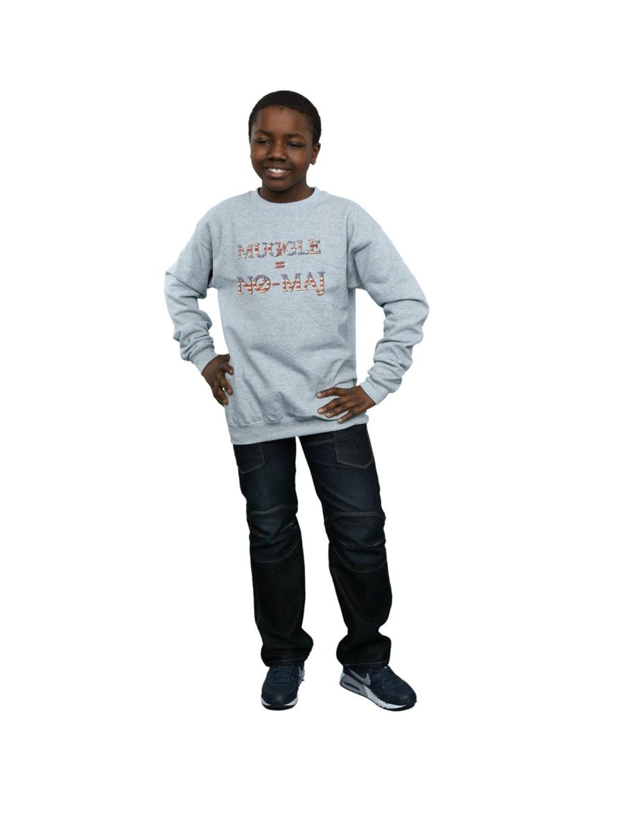 Fantastic Beasts Boys No Muggle No Maj Sweatshirt - Sports Grey - 3