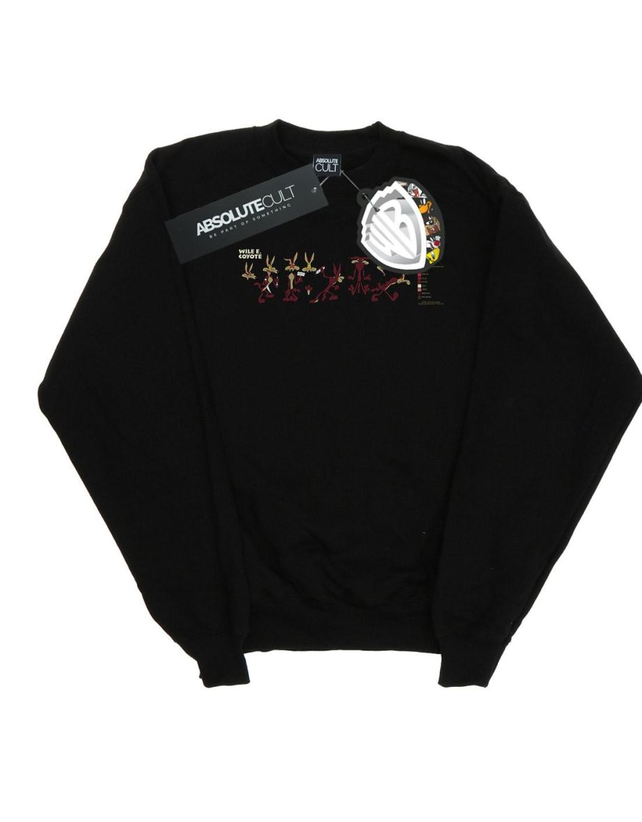 Looney Tunes Boys Wile E Coyote Colour Code Sweatshirt - Black