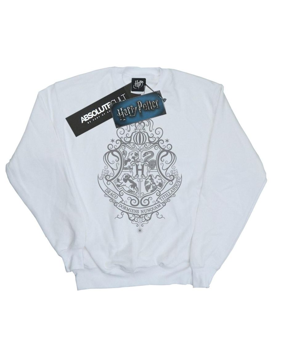Harry Potter Boys Hogwarts Draco Dormiens Crest Sweatshirt - White - 3