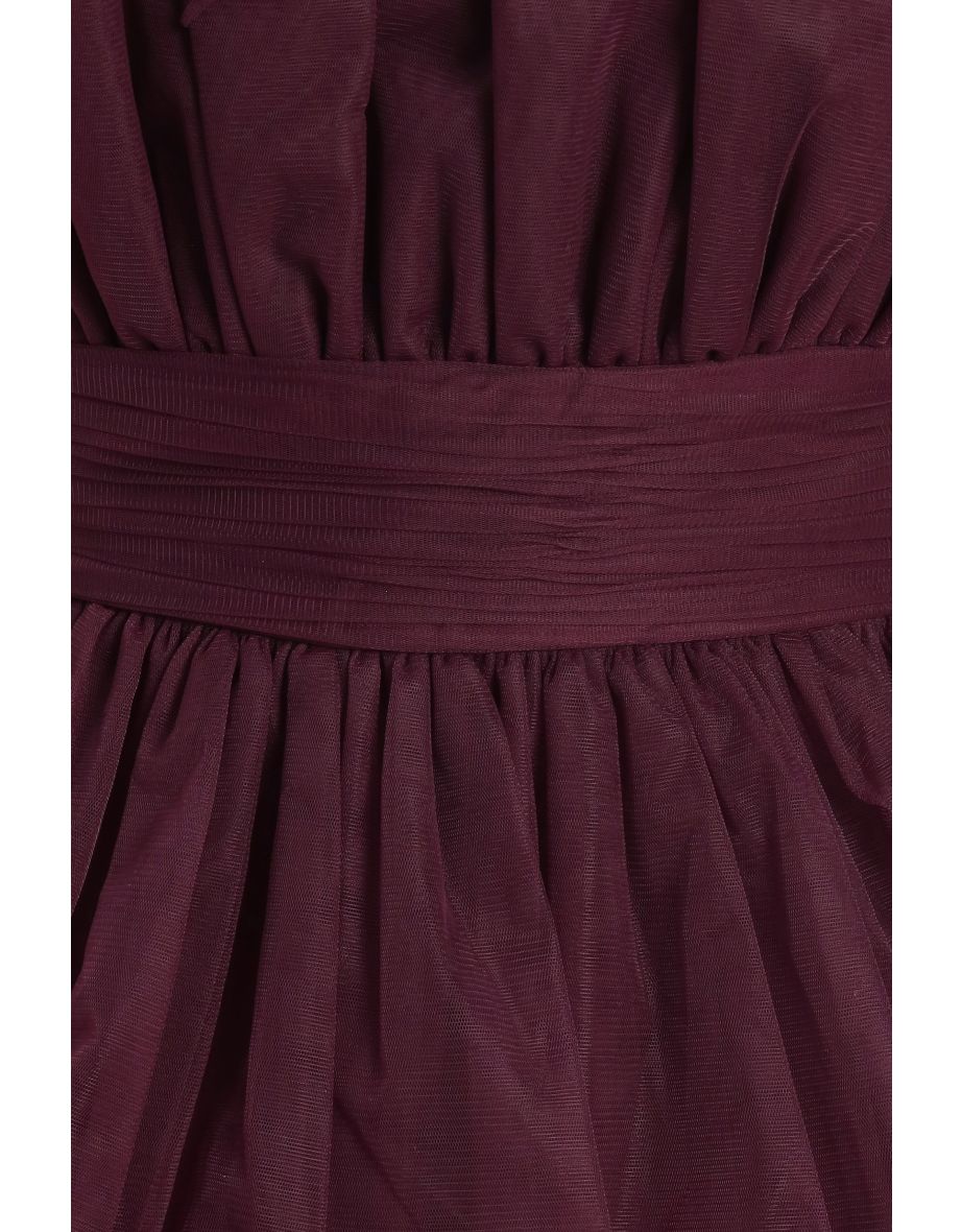 Natalia Tulle Floor Length Dress in Plum - 9