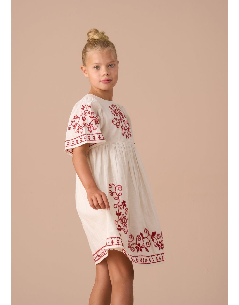 Reyna Nude Embroidered Swing Dress