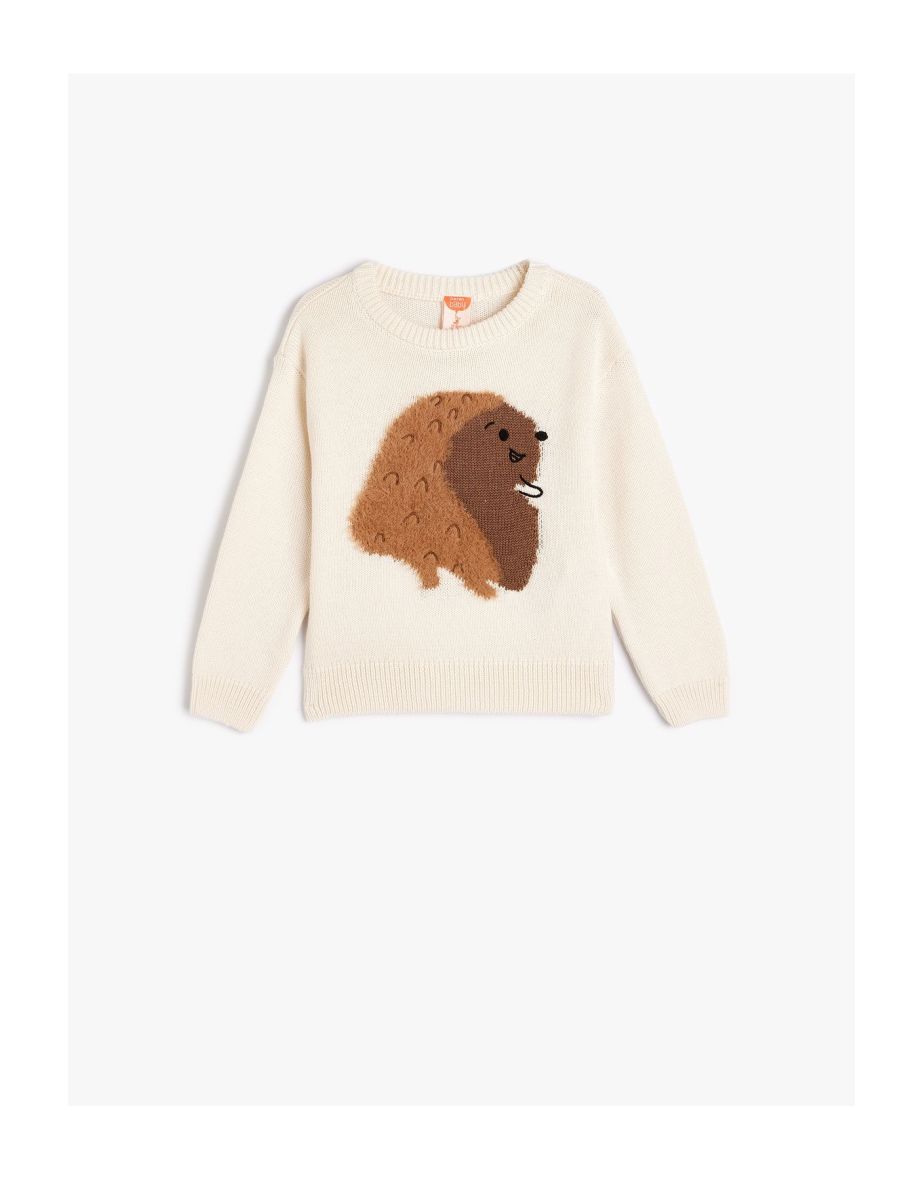Knitwear Sweater Hedgehog Appliqued Long Sleeve Crew Neck