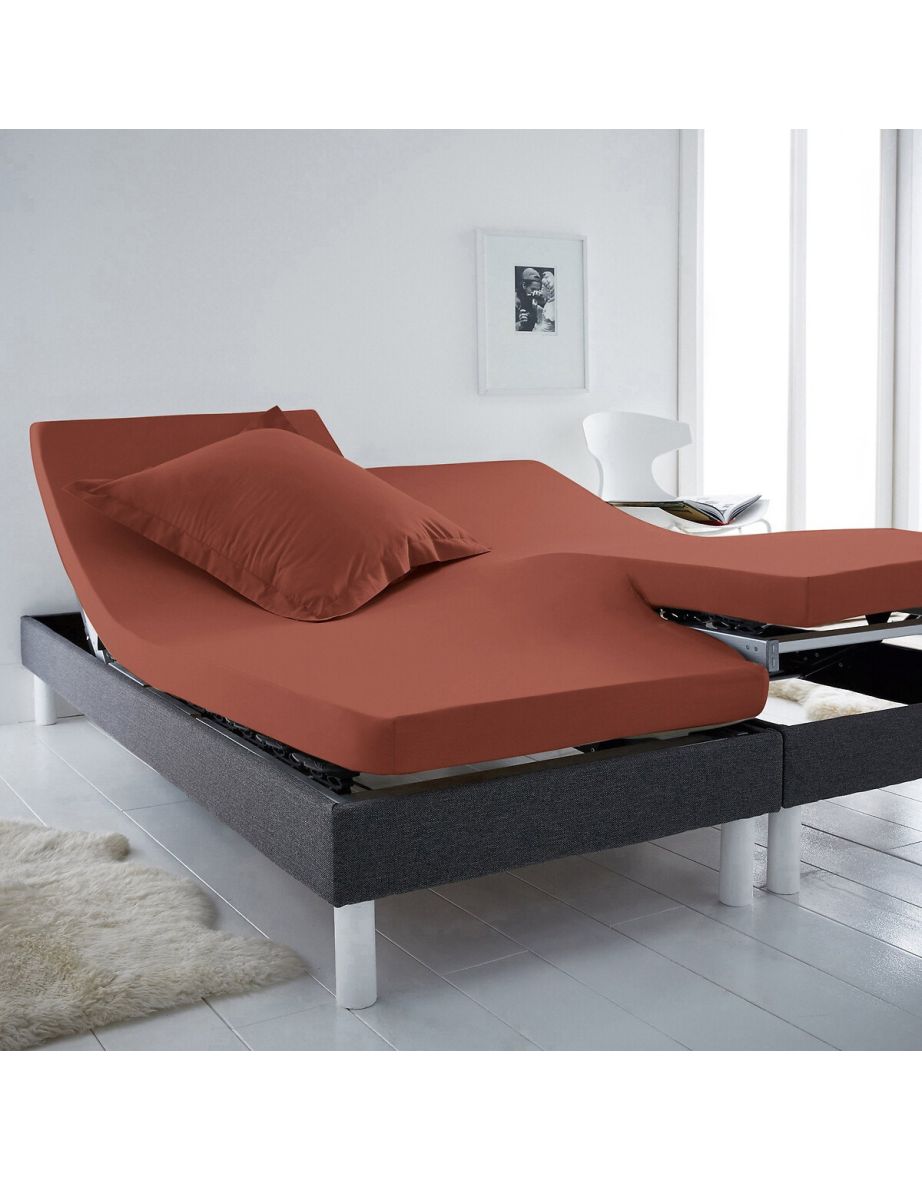 Scenario 100% Cotton Jersey Fitted Sheet for Articulated Beds