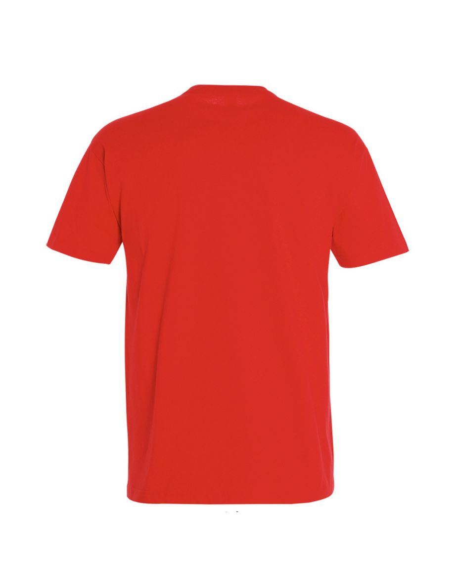 SOLS Mens Imperial Heavyweight Short Sleeve T-Shirt - Hibiscus - 1