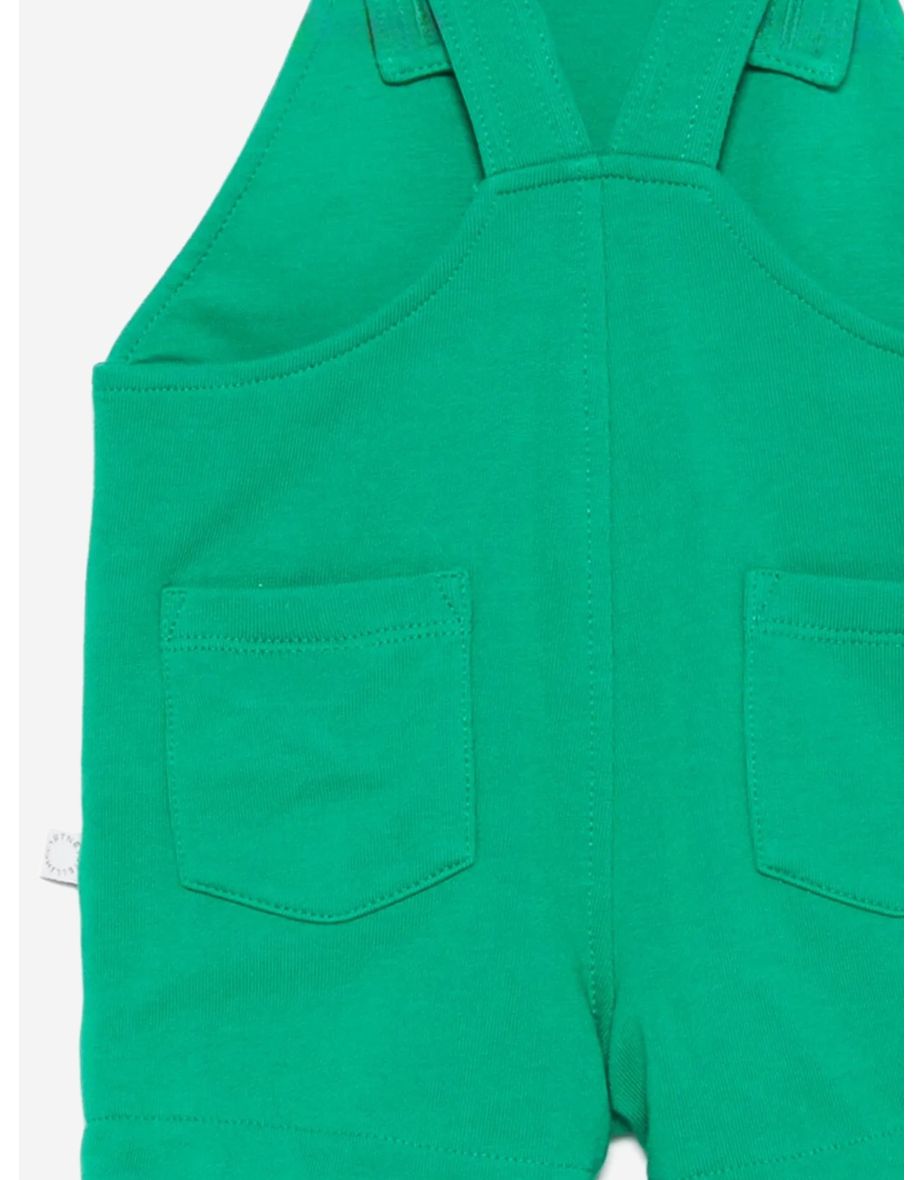 Baby Boys Frog Dungarees in Green - 3