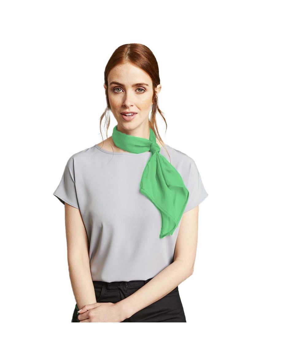 Premier Ladies/Womens Work Chiffon Formal Scarf - Apple