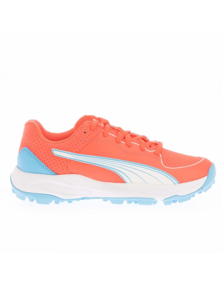 Men's Puma 24 FH Rubber Sole Cricket Shoes in Pink