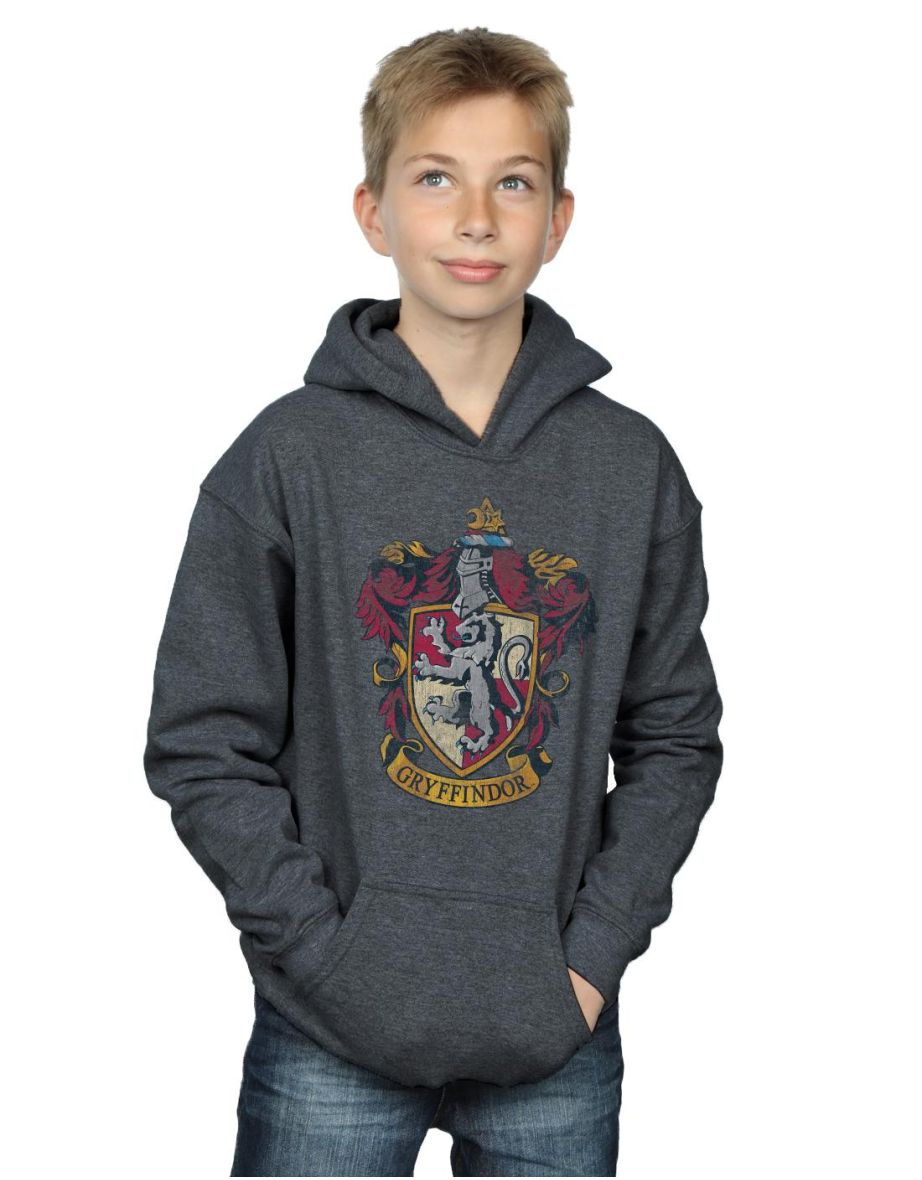 Gryffindor hotsell hoodie child