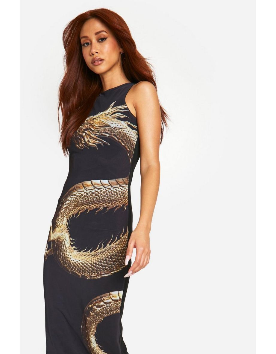 Mesh Dragon Print Racer Neck Maxi Dress - 3