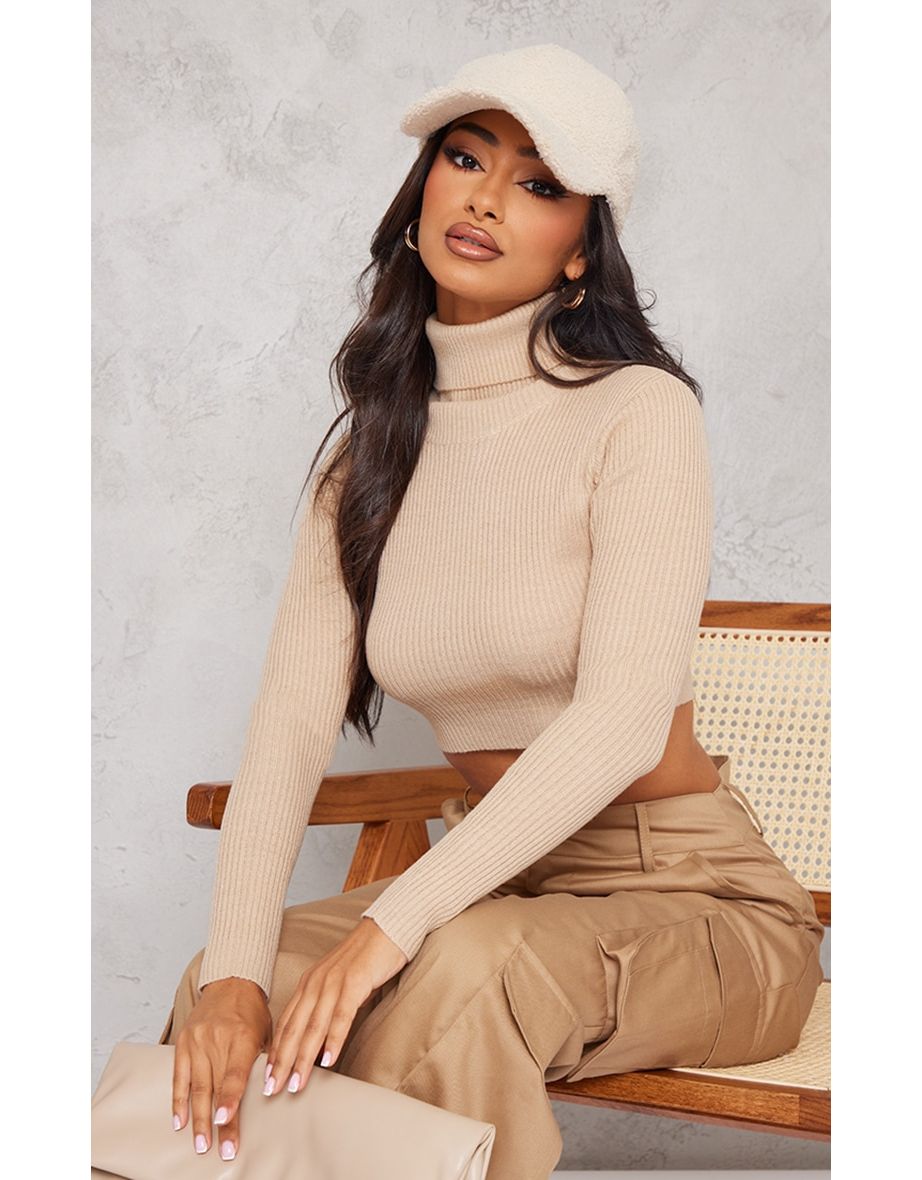 Shop Petite Stone Basic Knit Roll Neck Jumper Online in Oman VogaCloset