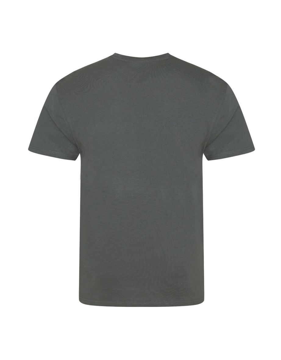 Ecologie Mens Organic Cascades T-Shirt - Charcoal - 1