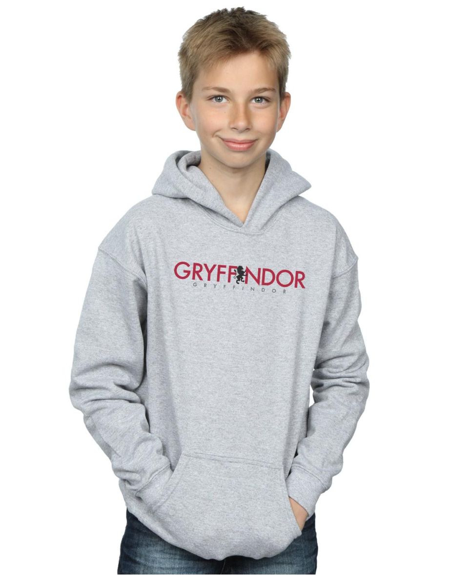 Harry potter best sale hoodies for boys