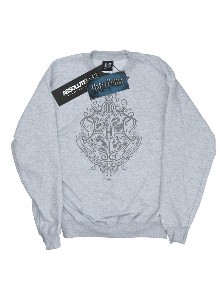 Harry Potter Boys Hogwarts Draco Dormiens Crest Sweatshirt - Sports Grey - 3