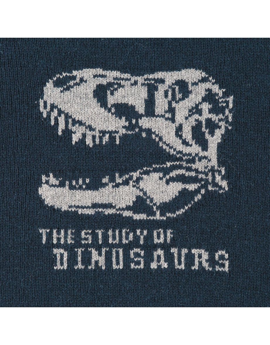 Fine Knit Dinosaur Jumper/Sweater in Cotton Mix with Crew Neck - 3