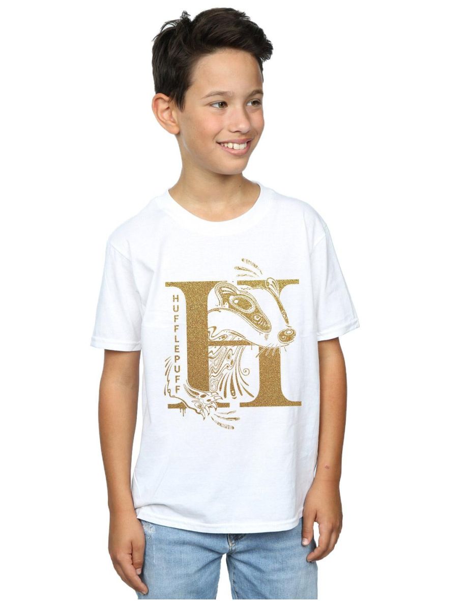 Harry Potter Boys Hufflepuff Glitter T-Shirt - White