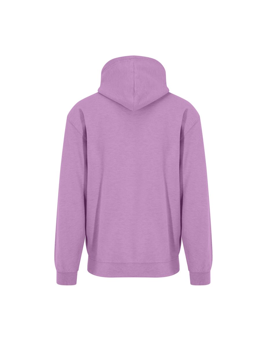 Awdis Womens/Ladies Surf Hoodie - Surf Purple - 1