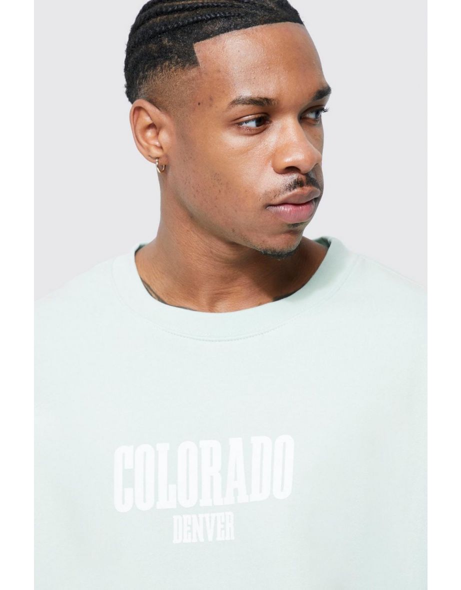 Oversized Colorado Print Sweatshirt - apple green - 2