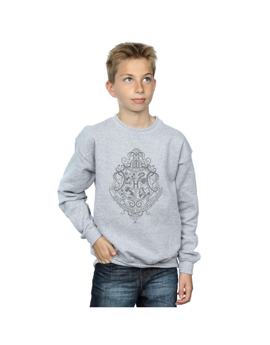 Harry Potter Boys Hogwarts Draco Dormiens Crest Sweatshirt - Sports Grey