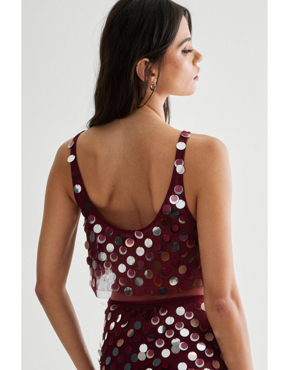 Mesh Embellished Sheer Crop Top - 3