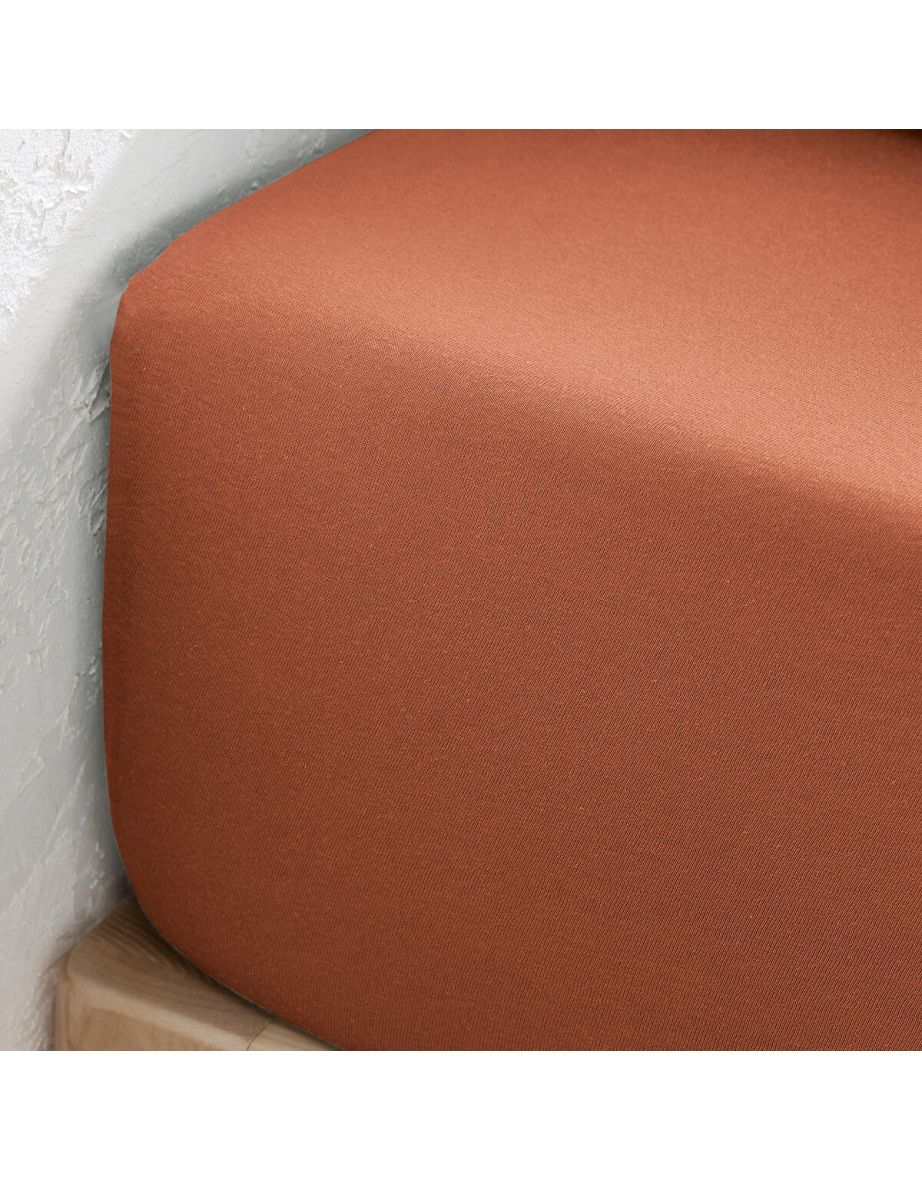 Scenario 100% Cotton Jersey Fitted Sheet - 2