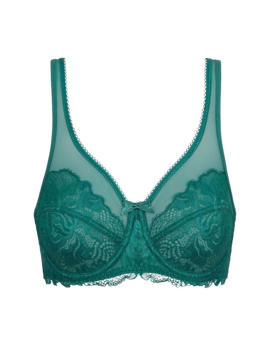 Generous Lace Full Cup Bra - 3