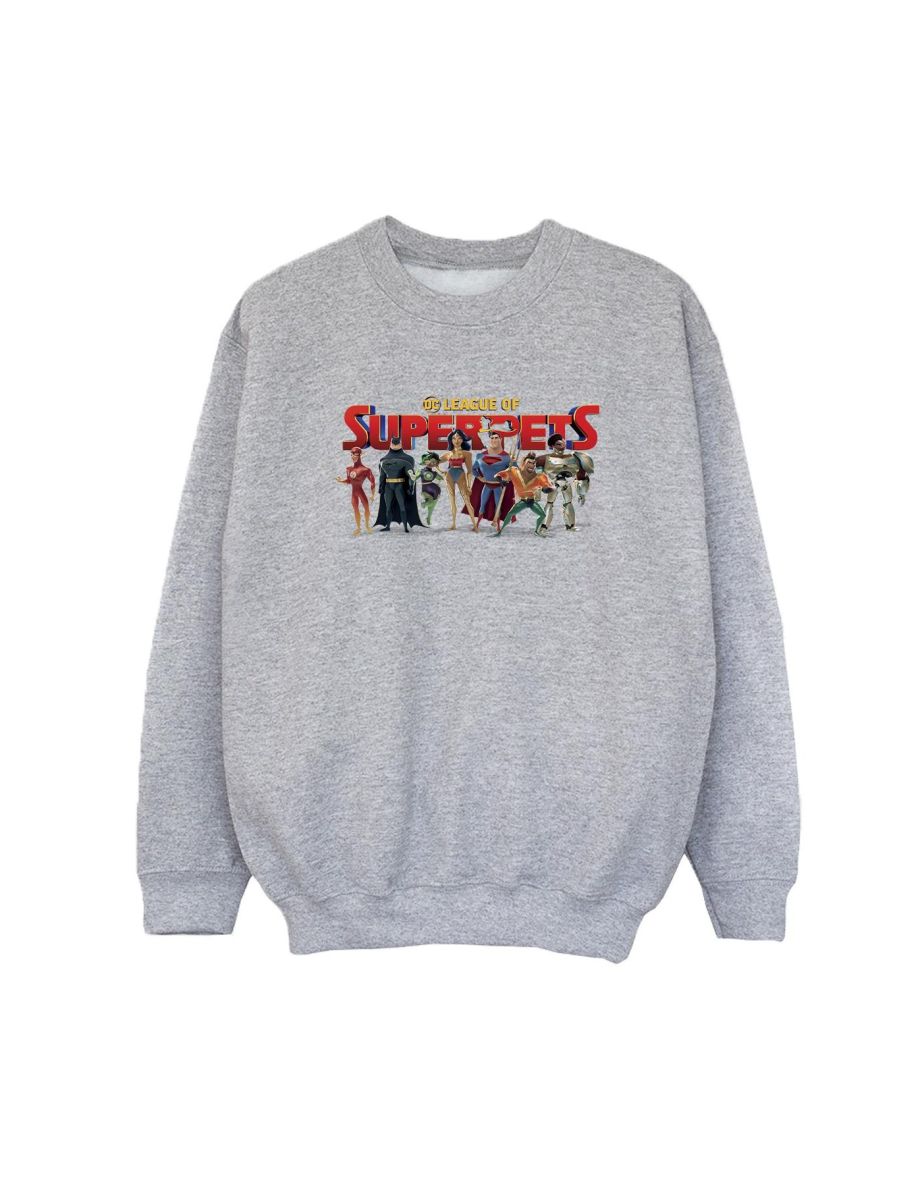 DC Comics Boys DC Comics DC League Of Super-Pets Group Logo Sweatshirt - Sports Grey