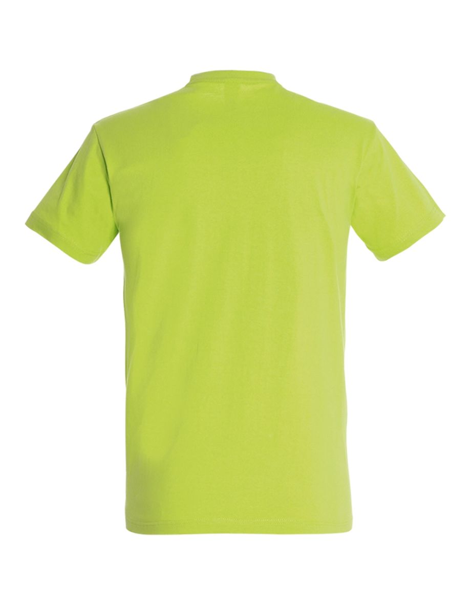 SOLS Mens Imperial Heavyweight Short Sleeve T-Shirt - Apple Green - 1
