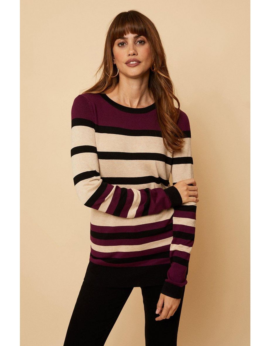 Tall Berry Stripe Flash Jumper