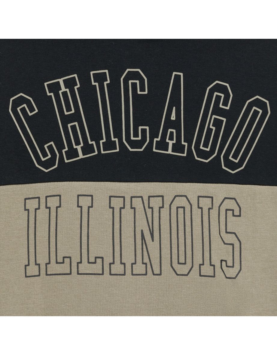 Chicago Illinois Printed Hoodie in Cotton Mix - 5