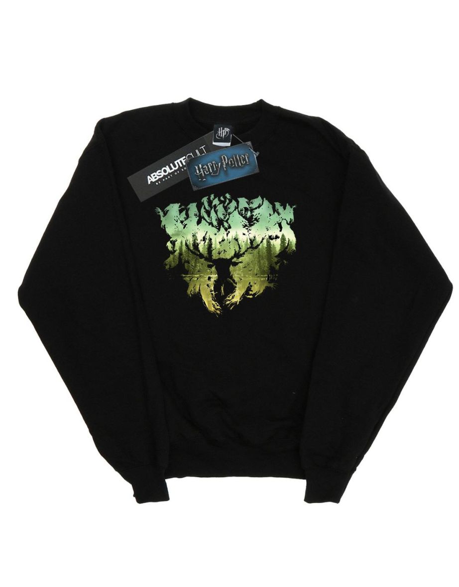 Harry Potter Boys Magical Forest Sweatshirt - Black - 3