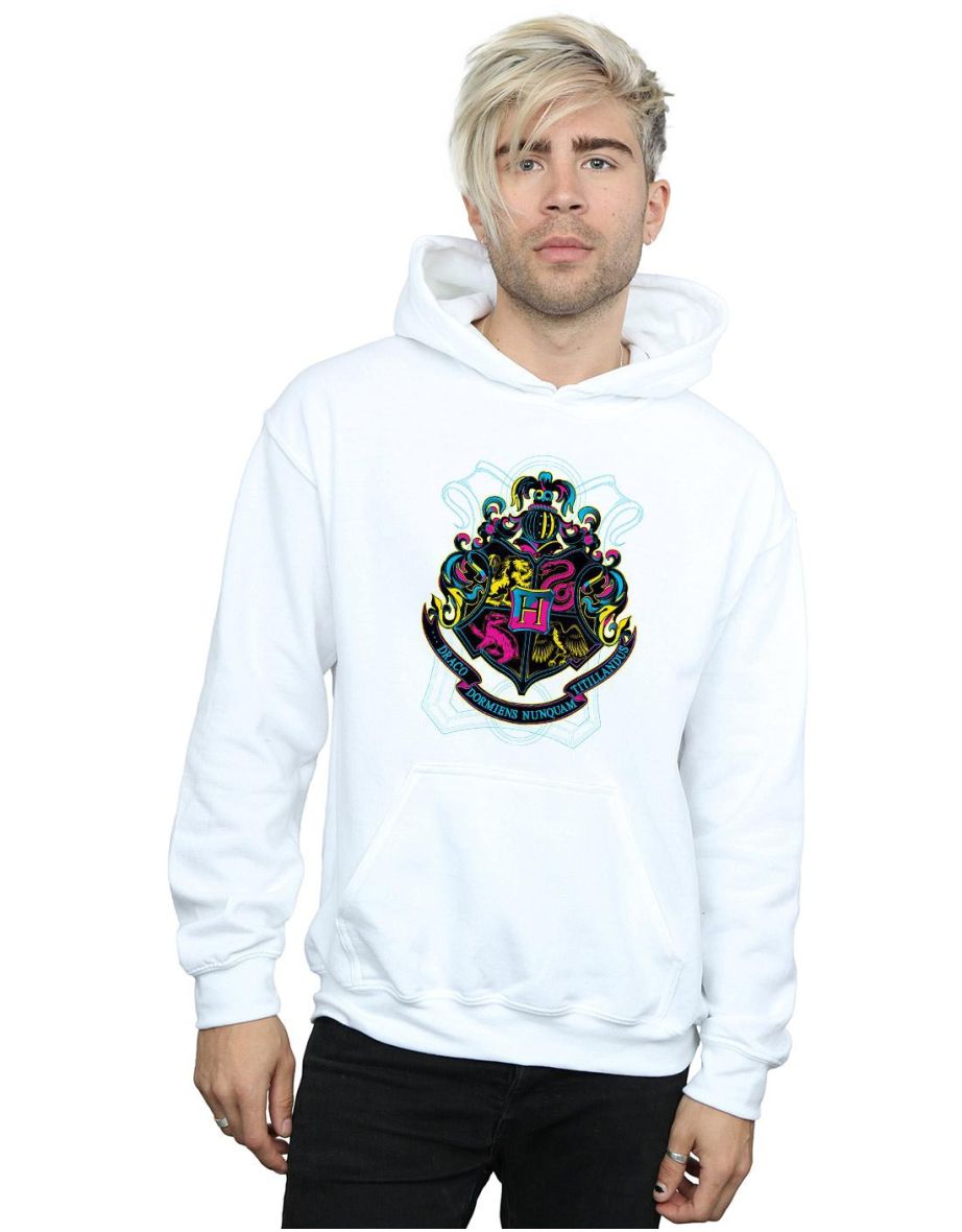 Draco 2024 champion hoodie