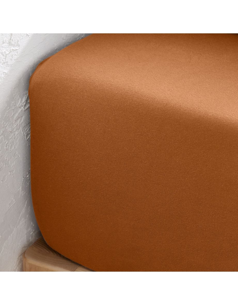 Scenario 30cm 100% Cotton Jersey Fitted Sheet - 2