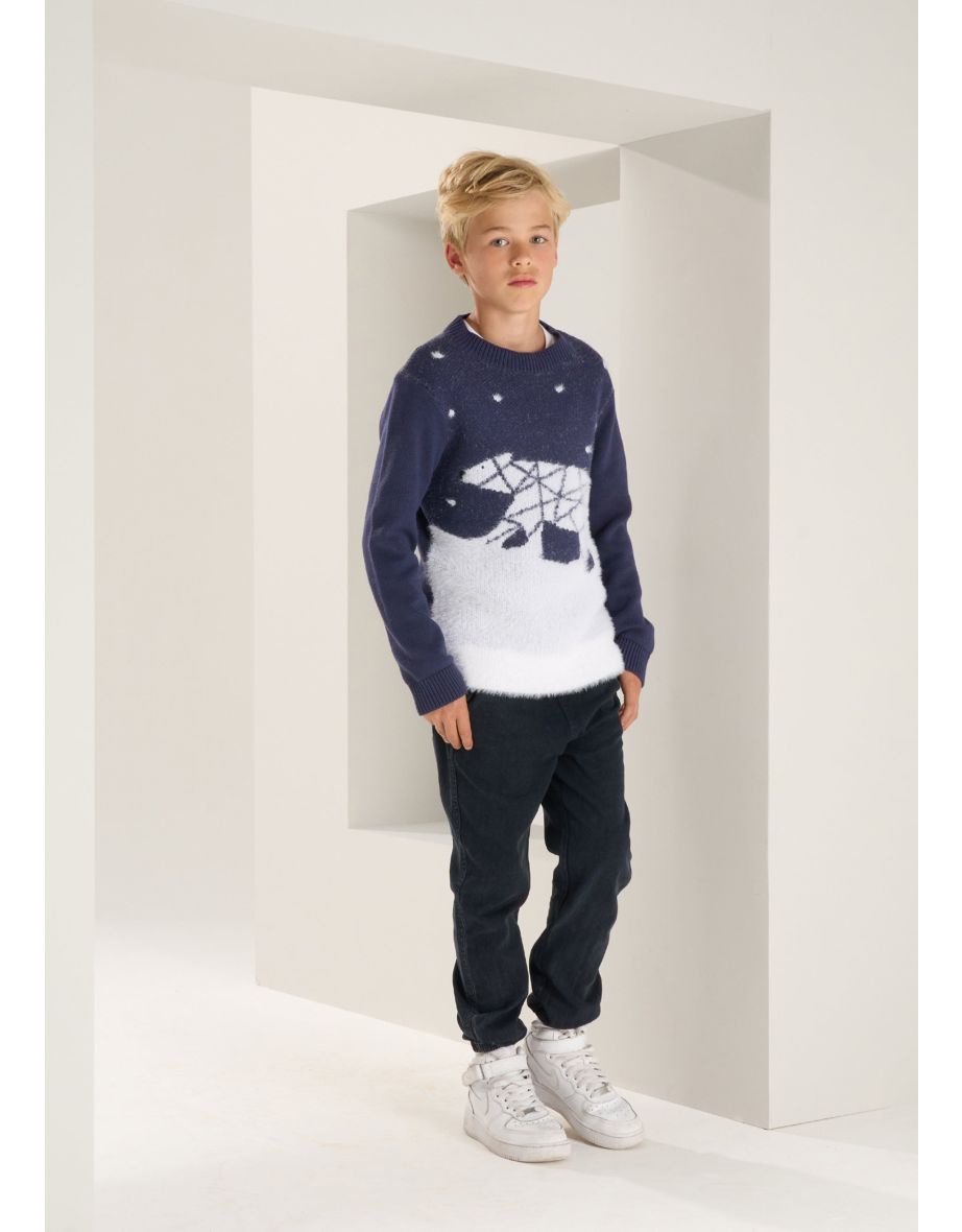Benny Polar Bear Landscape Jumper