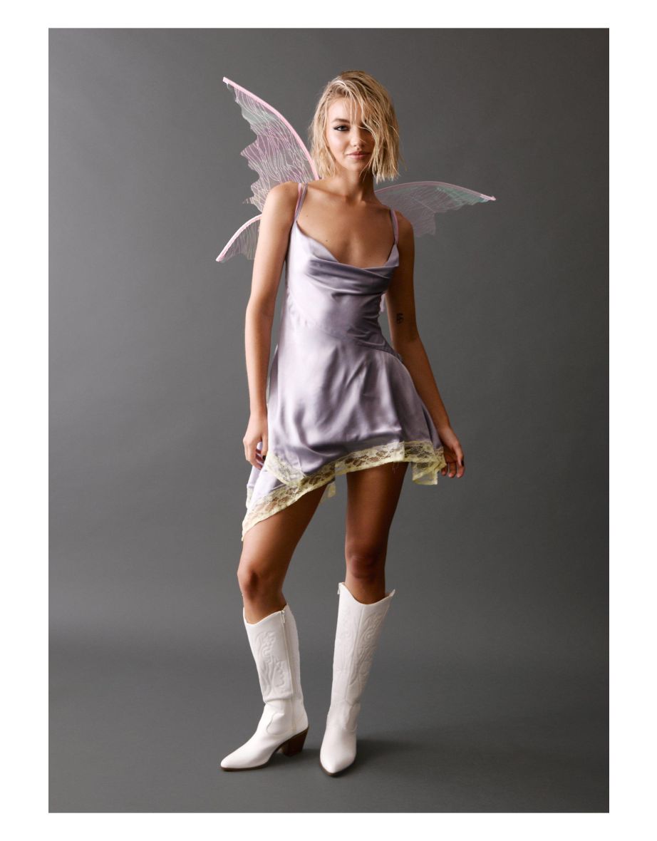 Translucent Metallic Fairy Wings