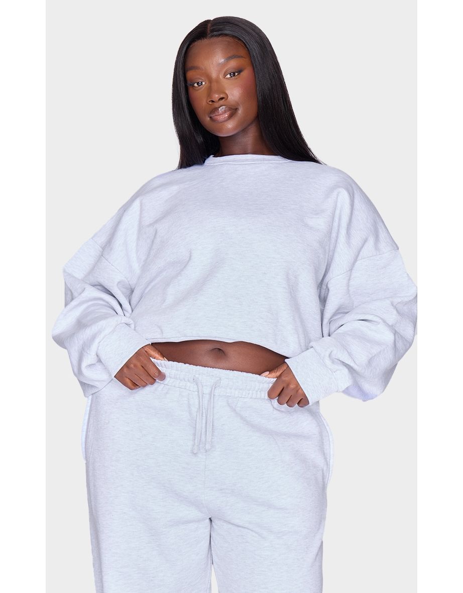 Plus Grey Premium Basic Crew Neck Cropped Sweatshirt
