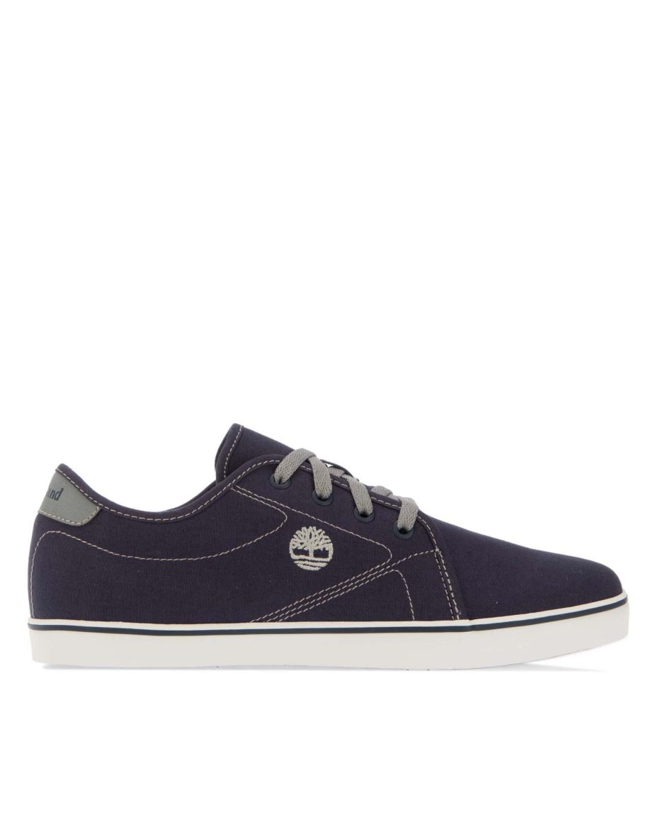 Men's Timberland Skape Park Basic Low Lace Trainers in Blue