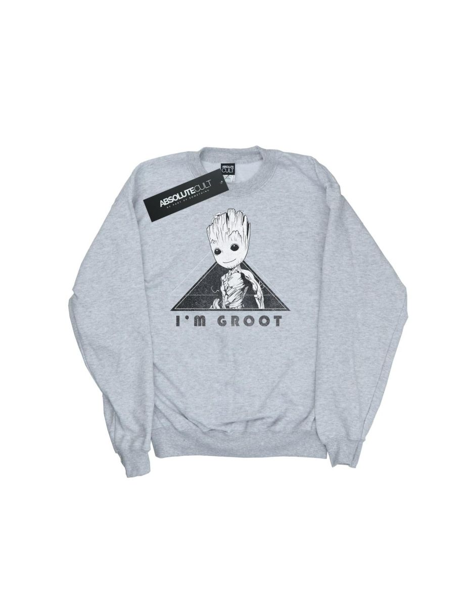 Marvel Boys Guardians Of The Galaxy Vol. 2 Groot Mono Triangle Sweatshirt - Sports Grey