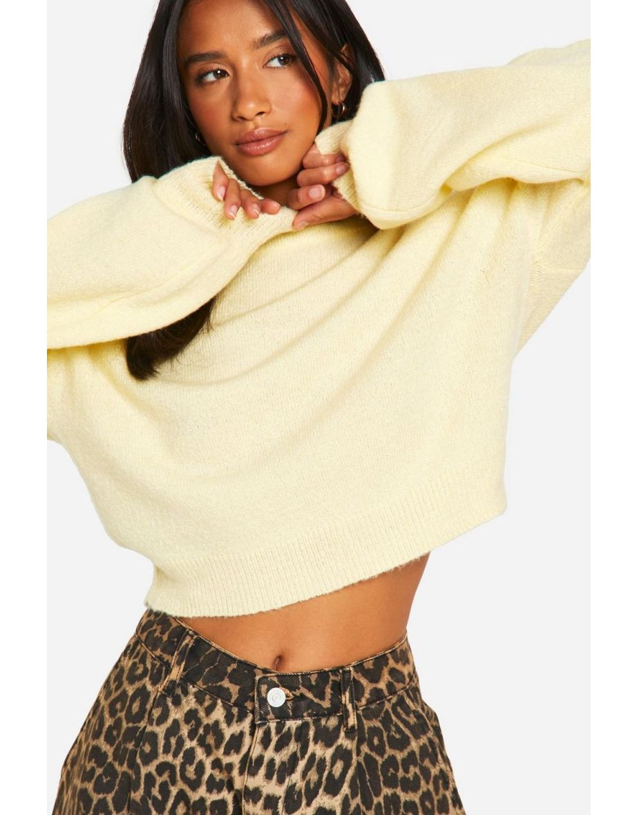 Petite Soft Knit Crew Neck Crop Jumper - 3