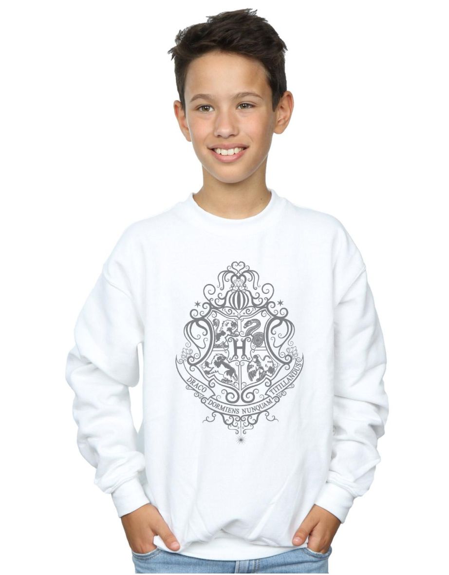 Harry Potter Boys Hogwarts Draco Dormiens Crest Sweatshirt - White