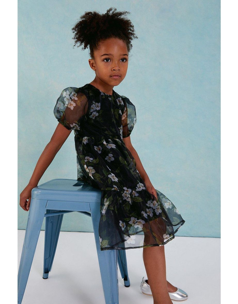 Girls Organza Tiered Dress - 2