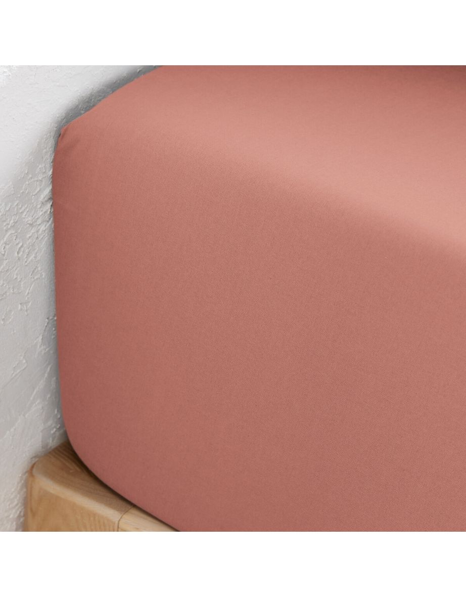 Scenario Plain 100% Organic Cotton Fitted Sheet - 2