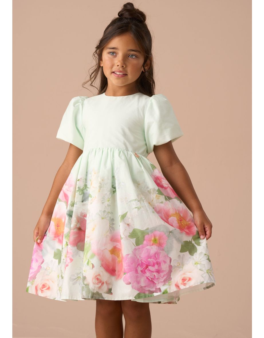Anna Mint Border Print Puff Sleeve Dress