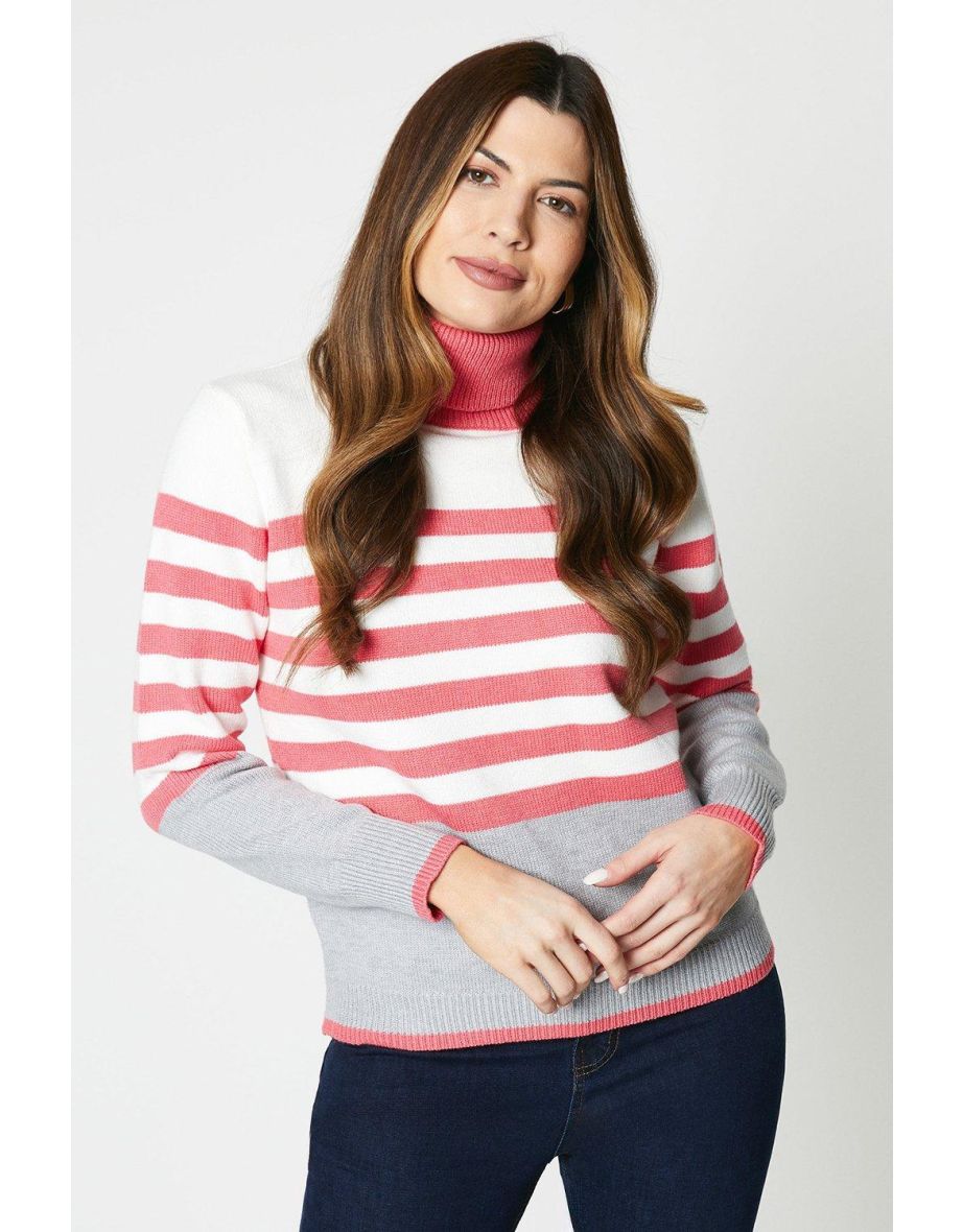 Roll Neck Stripe Jumper