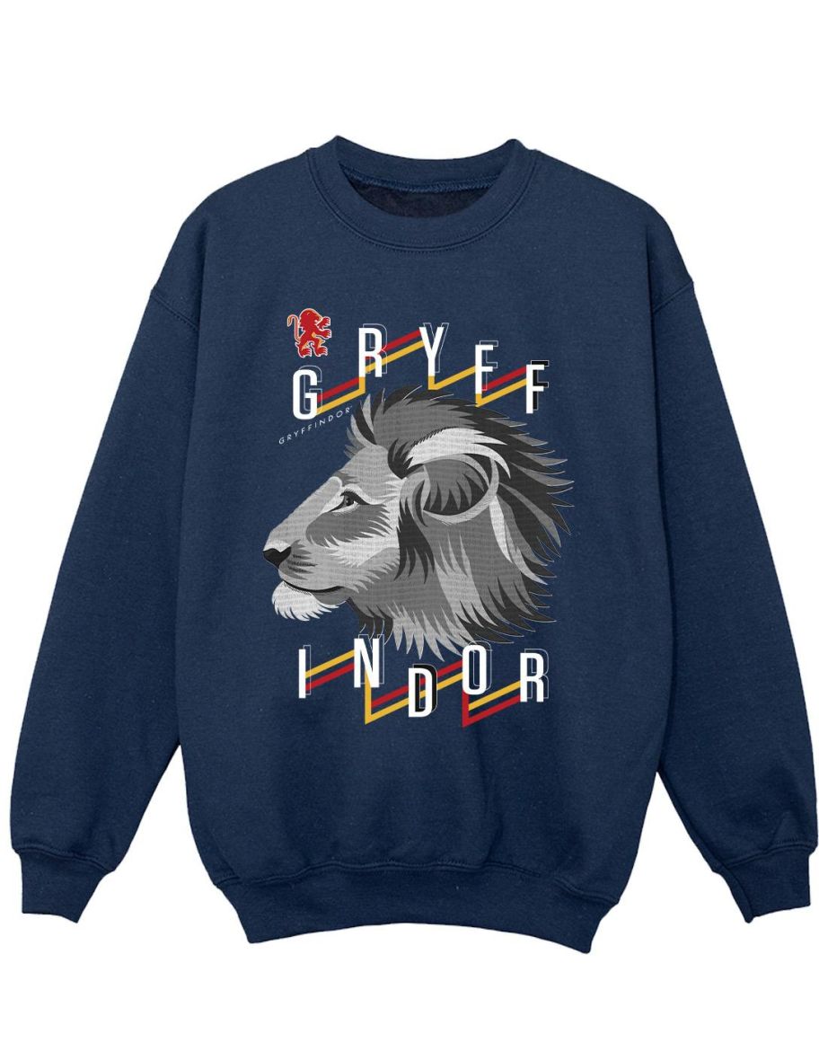 Harry Potter Girls Gryffindor Lion Icon Sweatshirt - Navy Blue