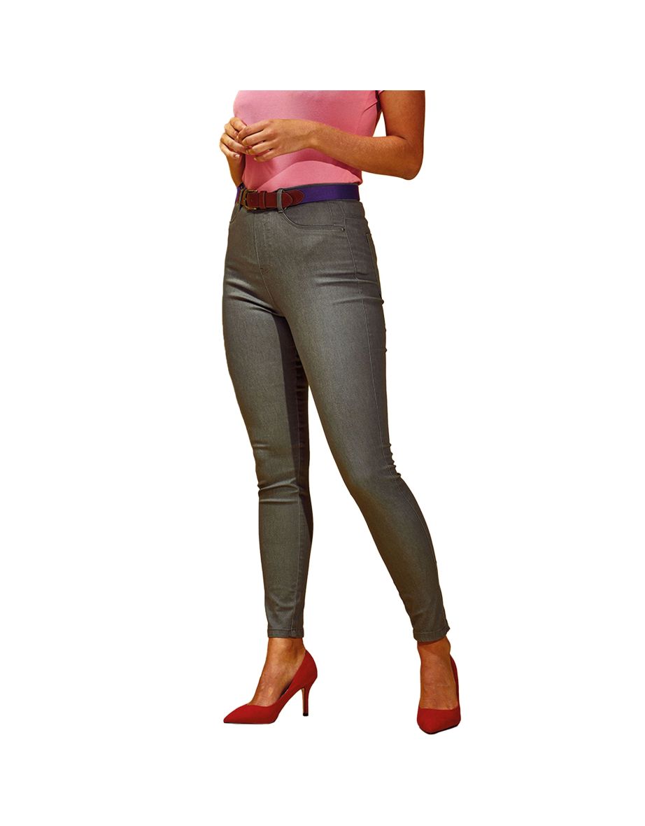Asquith & Fox Womens/Ladies Classic Fit Jeggings - Slate - 3