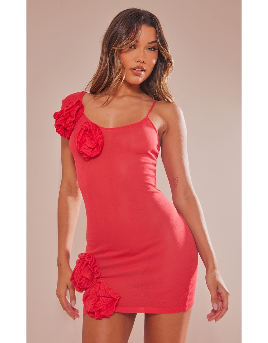 Red Sheer Knit Flower Embellished Dress