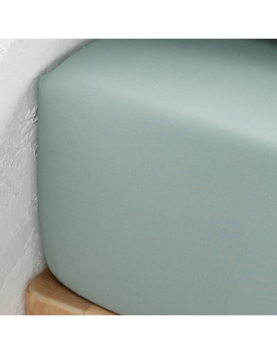 Scenario Cotton Percale Fitted Sheet, 40cm Flap - 2