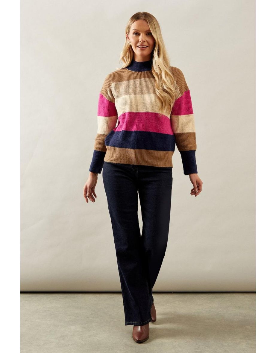 Multi Stripe High Neck Jumper