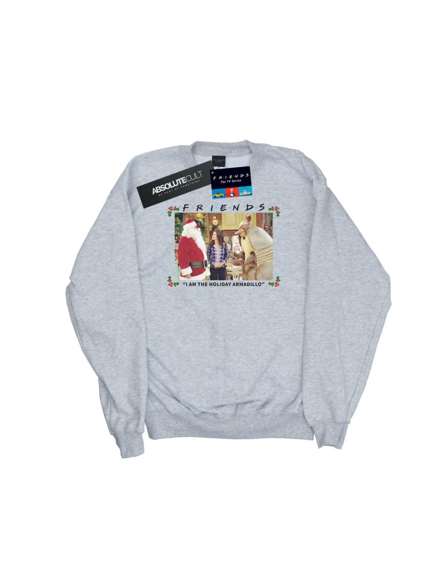 Friends Boys I Am The Holiday Armadillo Sweatshirt - Sports Grey